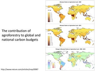 Agroforestry: a trend in global land use | PPTX