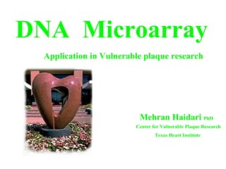 DNA Microarray
Mehran Haidari PhD
Application in Vulnerable plaque research
Center for Vulnerable Plaque Research
Texas Heart Institute
 