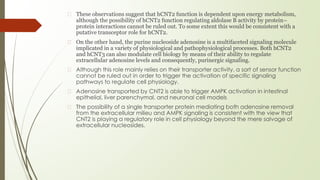 � These observations suggest that hCNT2 function is dependent upon energy metabolism,
although the possibility of hCNT2 function regulating aldolase B activity by protein–
protein interactions cannot be ruled out. To some extent this would be consistent with a
putative transceptor role for hCNT2.
� On the other hand, the purine nucleoside adenosine is a multifaceted signaling molecule
implicated in a variety of physiological and pathophysiological processes. Both hCNT2
and hCNT3 can also modulate cell biology by means of their ability to regulate
extracellular adenosine levels and consequently, purinergic signaling.
� Although this role mainly relies on their transporter activity, a sort of sensor function
cannot be ruled out in order to trigger the activation of specific signaling
pathways to regulate cell physiology.
� Adenosine transported by CNT2 is able to trigger AMPK activation in intestinal
epithelial, liver parenchymal, and neuronal cell models
� The possibility of a single transporter protein mediating both adenosine removal
from the extracellular milieu and AMPK signaling is consistent with the view that
CNT2 is playing a regulatory role in cell physiology beyond the mere salvage of
extracellular nucleosides.
 