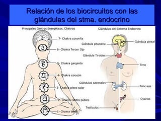 Láminas Didácticas Anatomía Energética - Alta Calidad - Envío Rápido
