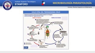 MICROBIOLOGÍA-PARASITOLOGÍA
Carrera: Técnico Superior en Enfermería
CICLO VITAL DEL TRIPANOSOMA CRUZI
 
