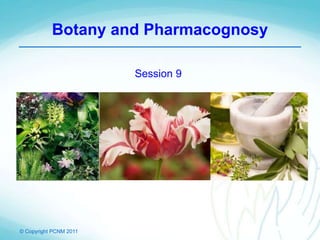 © Copyright PCNM 2011
Botany and Pharmacognosy
Session 9
 