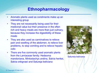 © Copyright PCNM 2011
• Aromatic plants used as condiments make up an
interesting group
• They are not necessarily being used for their
medicinal value but their presence in the often
rich and heavy meals are more than just culinary,
because they increase the digestibility of these
meals
• They are also used as carminatives to relieve
pain and swelling of the abdomen, to relieve liver
problems, to stop vomiting and to relieve hepatic
colic
• There are five commonly used aromatic plants
from the Lamiaceae family: Hedeoma
mandoniana, Mintostachys andina, Salvia henkei,
Salvia orbignaei and Satureja boliviana
Ethnopharmacology
Satureia boliviana
 