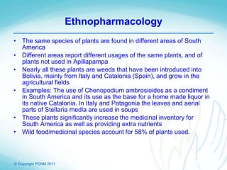 © Copyright PCNM 2011
• The same species of plants are found in different areas of South
America
• Different areas report different usages of the same plants, and of
plants not used in Apillapampa
• Nearly all these plants are weeds that have been introduced into
Bolivia, mainly from Italy and Catalonia (Spain), and grow in the
agricultural fields
• Examples: The use of Chenopodium ambrosioides as a condiment
in South America and its use as the base for a home made liquor in
its native Catalonia. In Italy and Patagonia the leaves and aerial
parts of Stellaria media are used in soups
• These plants significantly increase the medicinal inventory for
South America as well as providing extra nutrients
• Wild food/medicinal species account for 58% of plants used.
Ethnopharmacology
 