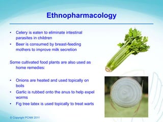 © Copyright PCNM 2011
• Celery is eaten to eliminate intestinal
parasites in children
• Beer is consumed by breast-feeding
mothers to improve milk secretion
Some cultivated food plants are also used as
home remedies:
• Onions are heated and used topically on
boils
• Garlic is rubbed onto the anus to help expel
worms
• Fig tree latex is used topically to treat warts
Ethnopharmacology
 