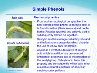 © Copyright PCNM 2011
Simple Phenols
Pharmacodynamics
• From a pharmacological perspective, the
best known simple phenol is salicylic acid. It
is found in willow (Salix species) and poplar
barks (Populus species) and salicylic acid is
subsequently formed on ingestion.
• Salicylic acid has recognized antipyretic and
anti-inflammatory properties which underlie
the use of willow bark for arthritis.
• Aspirin is a synthetic derivative of salicylic
acid which in addition has pronounced
antiplatelet properties due to the presence of
the acetyl group. Salicylic acid lacks this
property and consequently willow bark in not
a suitable natural substitute for aspirin in
cardiovascular patients.
Betula pubescens
Salix alba
 