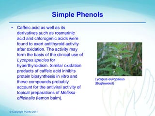 © Copyright PCNM 2011
Simple Phenols
• Caffeic acid as well as its
derivatives such as rosmarinic
acid and chlorogenic acids were
found to exert antithyroid activity
after oxidation. The activity may
form the basis of the clinical use of
Lycopus species for
hyperthyroidism. Similar oxidation
products of caffeic acid inhibits
protein biosynthesis in vitro and
these compounds probably
account for the antiviral activity of
topical preparations of Melissa
officinalis (lemon balm).
Lycopus europaeus
(Bugleweed)
 