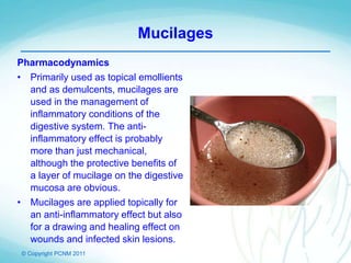 © Copyright PCNM 2011
Mucilages
Pharmacodynamics
• Primarily used as topical emollients
and as demulcents, mucilages are
used in the management of
inflammatory conditions of the
digestive system. The anti-
inflammatory effect is probably
more than just mechanical,
although the protective benefits of
a layer of mucilage on the digestive
mucosa are obvious.
• Mucilages are applied topically for
an anti-inflammatory effect but also
for a drawing and healing effect on
wounds and infected skin lesions.
 