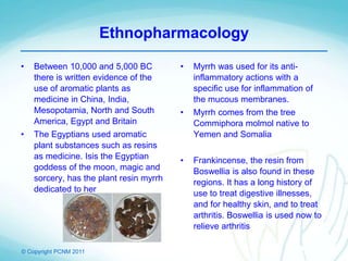 © Copyright PCNM 2011
Ethnopharmacology
• Between 10,000 and 5,000 BC
there is written evidence of the
use of aromatic plants as
medicine in China, India,
Mesopotamia, North and South
America, Egypt and Britain
• The Egyptians used aromatic
plant substances such as resins
as medicine. Isis the Egyptian
goddess of the moon, magic and
sorcery, has the plant resin myrrh
dedicated to her
• Myrrh was used for its anti-
inflammatory actions with a
specific use for inflammation of
the mucous membranes.
• Myrrh comes from the tree
Commiphora molmol native to
Yemen and Somalia
• Frankincense, the resin from
Boswellia is also found in these
regions. It has a long history of
use to treat digestive illnesses,
and for healthy skin, and to treat
arthritis. Boswellia is used now to
relieve arthritis
 