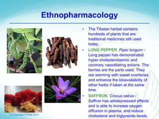 © Copyright PCNM 2011
Ethnopharmacology
• The Tibetan herbal contains
hundreds of plants that are
traditional medicines still used
today .
• LONG PEPPER Piper longum -
Long pepper has demonstrated
hyper-cholesterolaemic and
coronary vasodilating actions. The
berries are the parts used. They
are warming with sweet overtones
and enhance the bioavailability of
other herbs if taken at the same
time
• SAFFRON Crocus sativa -
Saffron has antidepressant effects
and is able to increase oxygen
diffusion in plasma, and reduce
cholesterol and triglyceride levels.
 