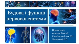 .
Презентація
вчителя біології
Слов’янської зош №1
Леонтьєвої В.О.
Будова і функції
нервової системи
 