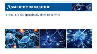 Домашнє завдання:
 § 34, т/з №1 (розділ 8), відео на сайті!!!
 