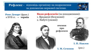 Рефлекс - відповідь організму на подразнення
за допомогою нервової системи.
Рене Декарт (фран.)
в XVII ст. → термін
Види рефлексів (за походженням):
1. Вроджені (безумовні)
2. Набуті (умовні)
І. М. Сєченов
І. П. Павлов
(рос.)
вчення
про
рефлекси
 