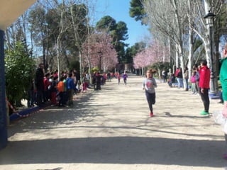 Xv cross del parque