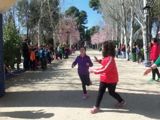 Xv cross del parque
