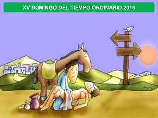 XV DOMINGO DEL TIEMPO ORDINARIO 2016
 