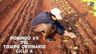 DOMINGO XV
DEL
TIEMPO ORDINARIO
Ciclo A
 