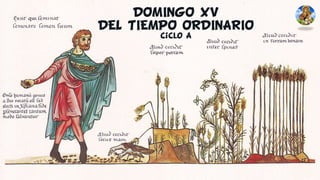 DOMINGO XV
DEL TIEMPO ORDINARIO
Ciclo A
 