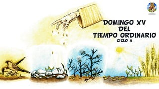 DOMINGO XV
DEL
TIEMPO ORDINARIO
Ciclo A
 