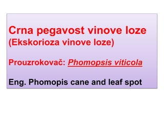 Crna pegavost vinove loze
(Ekskorioza vinove loze)
Prouzrokovač: Phomopsis viticola
Eng. Phomopis cane and leaf spot
 