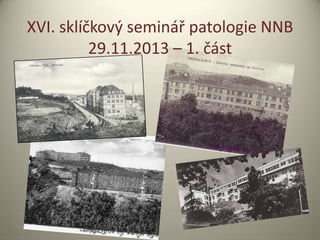 XVI. sklíčkový seminář patologie NNB
29.11.2013 – 1. část

 