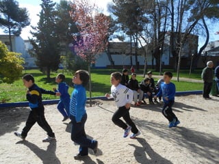 Xvii cross del parque ii