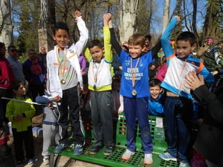 Xvii cross del parque ii
