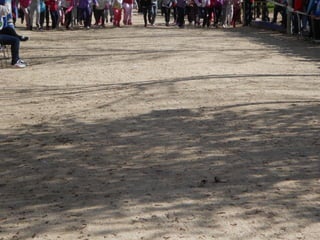 Xvii cross del parque ii