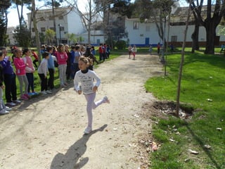 Xvii cross del parque ii