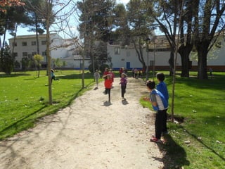 Xvii cross del parque ii