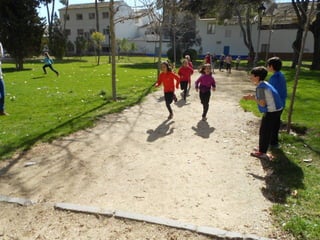 Xvii cross del parque ii