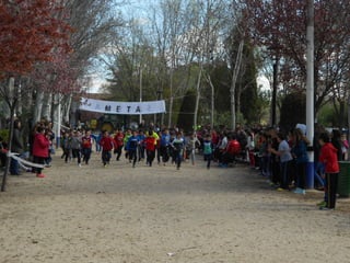 Xvii cross del parque ii