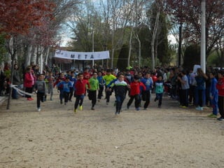 Xvii cross del parque ii