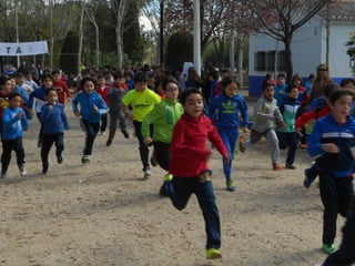 Xvii cross del parque ii