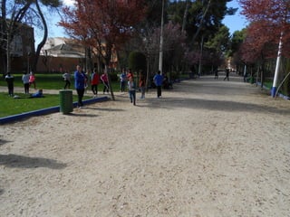 Xvii cross del parque ii