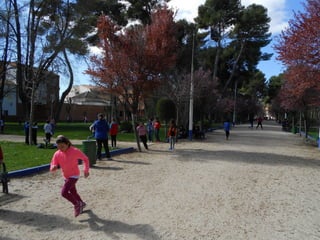 Xvii cross del parque ii