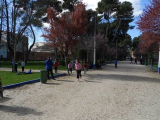 Xvii cross del parque ii