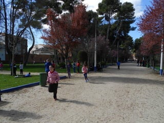 Xvii cross del parque ii