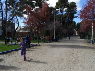 Xvii cross del parque ii