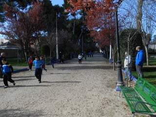 Xvii cross del parque ii