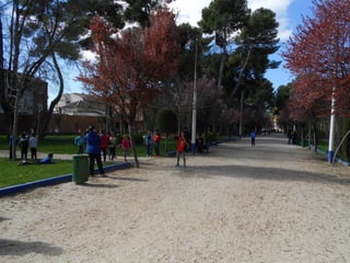 Xvii cross del parque ii