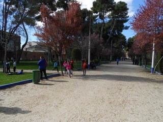 Xvii cross del parque ii