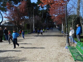 Xvii cross del parque ii