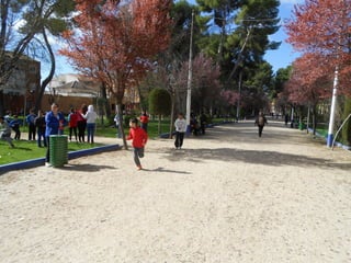 Xvii cross del parque ii