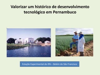 Valorizar um histórico de desenvolvimento 
tecnológico em Pernambuco 
Estação Experimental do IPA – Belém do São Francisco 
 