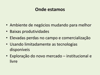 Onde estamos 
• Ambiente de negócios mudando para melhor 
• Baixas produtividades 
• Elevadas perdas no campo e comercialização 
• Usando limitadamente as tecnologias 
disponíveis 
• Exploração do novo mercado – institucional e 
livre 
 