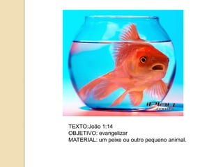 TEXTO:João 1:14
OBJETIVO: evangelizar
MATERIAL: um peixe ou outro pequeno animal.
 