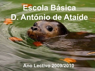 Escola Básica  D. António de Ataíde Ano Lectivo 2009/2010 
