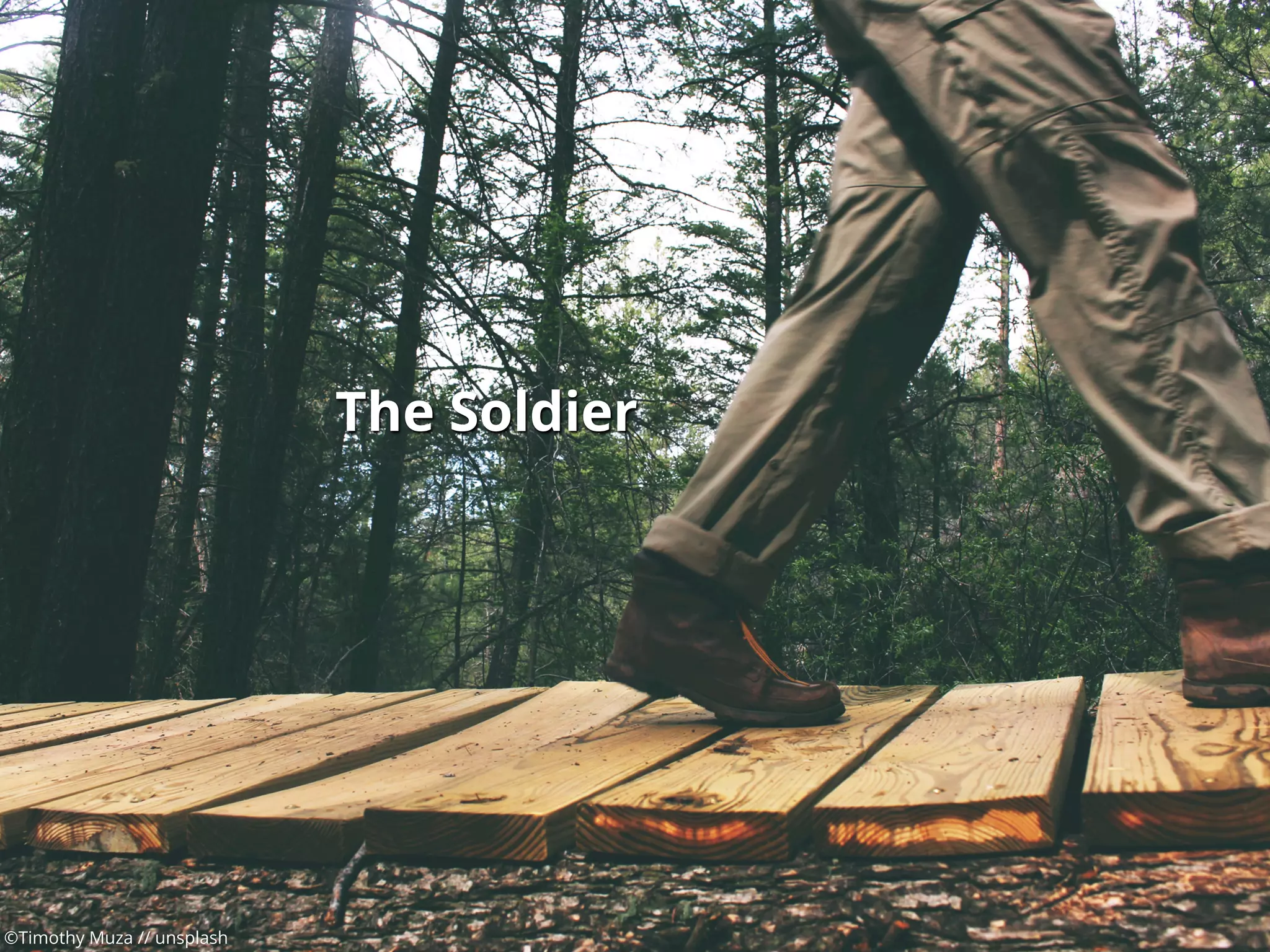 ©Timothy Muza // unsplash
The Soldier
 