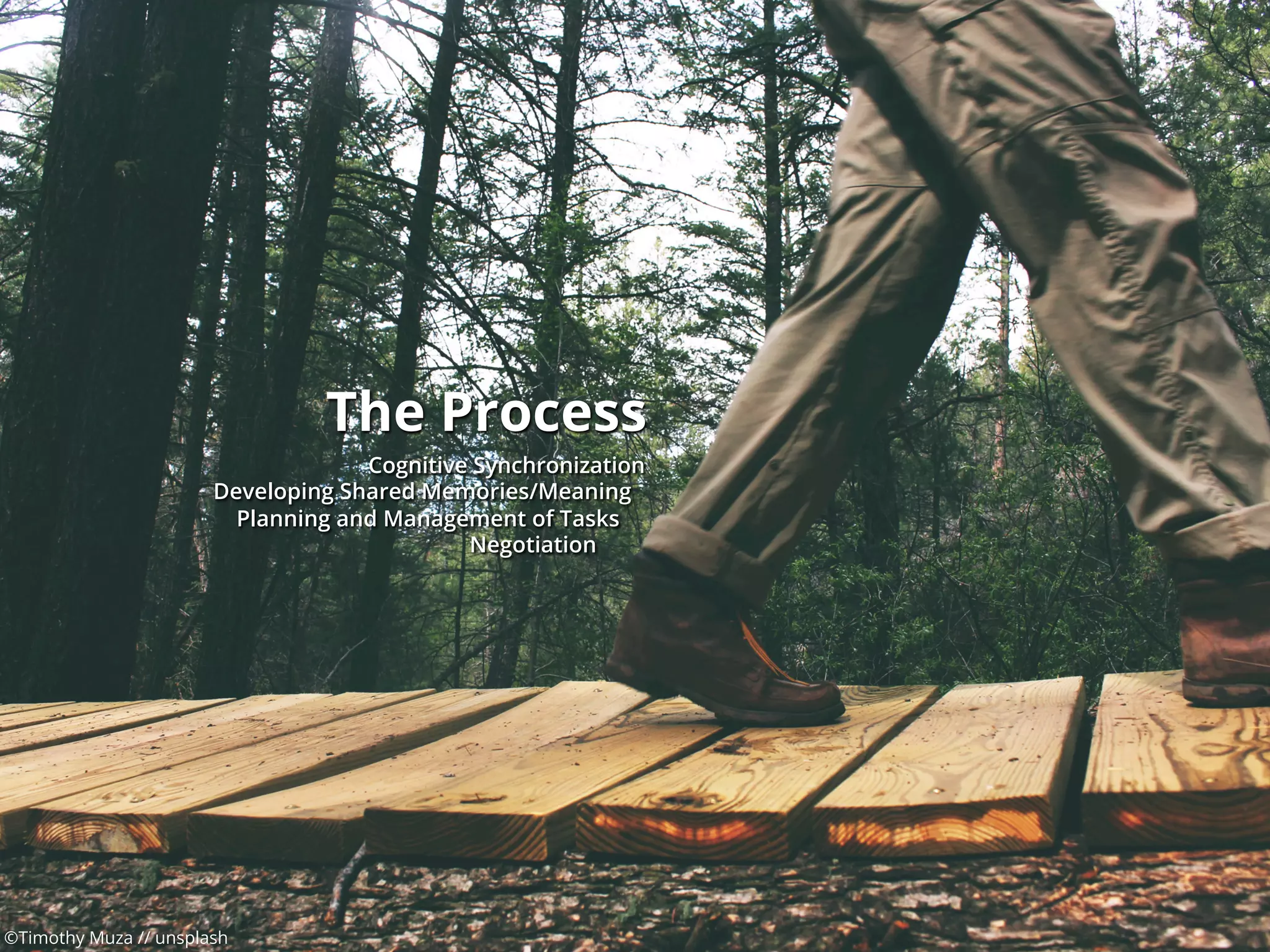 ©Timothy Muza // unsplash
The Process
Cognitive Synchronization
Developing Shared Memories/Meaning
Planning and Management of Tasks
Negotiation
 